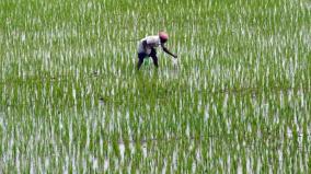 will-co-operatives-strengthen-the-autonomy-of-the-agricultural-sector