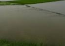 heavy-rains-continue-in-tamil-nadu-90-000-acres-of-paddy-fields-submerged-in-rainwater-delta-farmers-in-agony