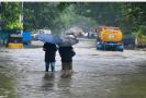 chennai-rains-444-neighborhoods-flooded-160-trees-uprooted