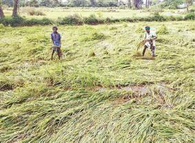 impact-on-agricultural-lands