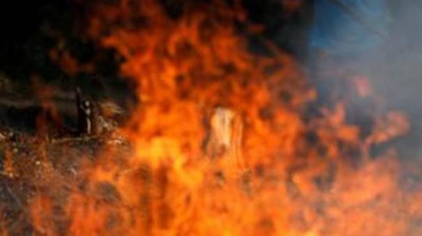 the-girl-who-was-set-on-fire-by-her-foster-father-in-nellai-died-without-any-treatment