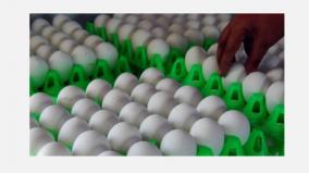 minimum-out-of-state-exports-the-price-of-an-egg-in-namakkal-fell-by-15-paise