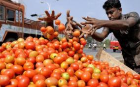 tomato-price-rises-to-rs-110