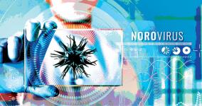 noro-virus