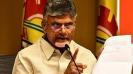 criticism-of-the-chandrababu-family