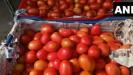 tomato-prices