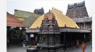 is-the-rumor-circulating-on-social-media-that-chidambaram-kovil-has-found-rare-treasures-in-the-natarajar-temple-true