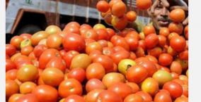 one-acre-of-land-should-be-allotted-for-parking-tomatoes