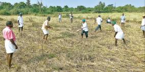 farmers-played-cricket-in-farmland