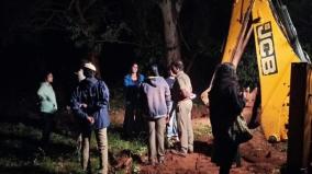 trees-cut-down-overnight-despite-resident-opposition-to-the-crown-project-in-auroville