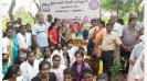nell-jayaraman-memorial-day-college-students-planted-saplings-in-chennai