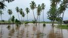 theni-heavy-rains-lash-the-district-heavy-floods-in-vaigai