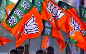 bjp-wins-12-seats