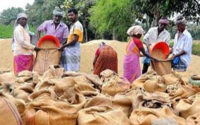 paddy-procurement-stations