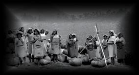 eezham-tamil-workers