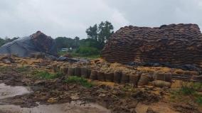50-thousand-bundles-of-paddy-damaged-by-rain-in-open-storage-near-kumbakonam-rs-1-crore-loss-to-the-government