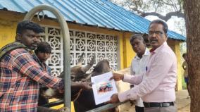 certificate-of-fitness-to-attend-jallikkatu-owners-stacking-with-bulls-at-the-hospital