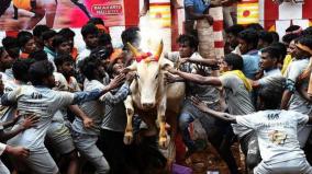 abrupt-cancellation-of-collector-led-jallikkattu-consultative-meeting-can-it-be-held-without-spectators