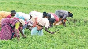 rs-10-000-as-unemployment-relief-for-the-families-of-agricultural-workers-tamil-nadu-farmers-association-request