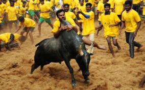 jallikkattu-without-audience