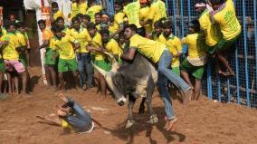 famous-avanyapuram-jallikkattu-competition-started-enthusiastically-with-restrictions