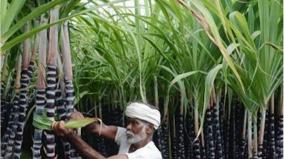 provide-rs-5-000-per-tonne-of-sugarcane-all-india-sugarcane-farmers-association-request