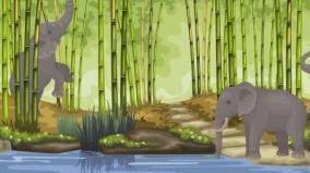 story-elephants-in-the-bamboo-forest