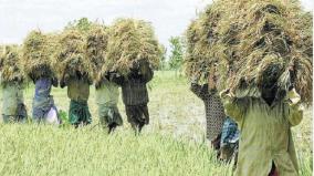 is-it-not-possible-to-open-paddy-procurement-centers-during-the-harvest-season-question-to-the-government-of-tamil-nadu