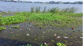 empty-liquor-plastic-products-thrown-into-krumambakkam-lake-risk-of-lake-pollution