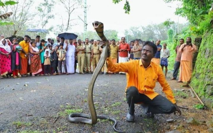 பிரார்த்தனைகளுக்கு மத்தியில் ஒரு கலகக்குரல்.. - வனத்துறையை மீறி  செயல்பட்டாரா வாவா சுரேஷ்? | Vava Suresh is not an authorised rescuer says  Wildlife welfare activist - hindutamil.in