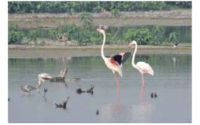 world-wetland-day