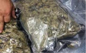 seizure-of-cannabis