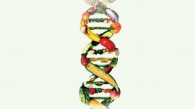genetically-modified-dangerous-food