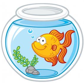new-discoveries-cart-driving-goldfish