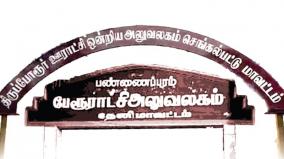 local-election-festival