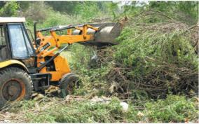 sessile-oak-trees-destroy-plan-in-final-phase-government-of-tamil-nadu-informed-in-madras-high-court