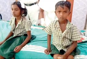 sayalgudi-6-students-were-injured-when-a-wooden-frame-fell-from-the-roof-of-the-school