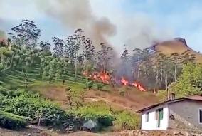 wildfire-in-valparai-villoni-valley-hundreds-of-acres-of-bushes-burned-and-damaged