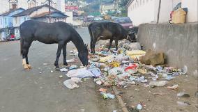 garbage-dumped-in-various-parts-of-udagai-tourist-city-seen-as-unhygienic-city