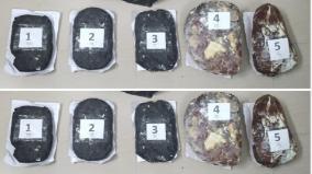 4-arrested-for-trying-to-smuggle-waste-of-whale-body-parts-in-tindivanam