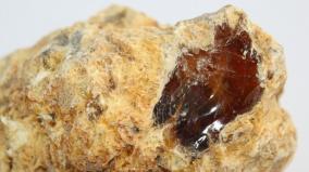 attempt-to-smuggle-amber-gris