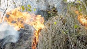wildfire-burning-about-kodaikanal-hills