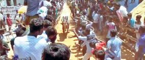 tirupattur-bull-race-fest-more-then-10-injured