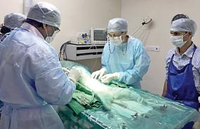 mumbai-doctors-team-achieves-pacemaker-fit-for-dog