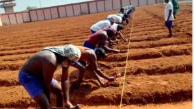 prisoners-in-puducherry-engaged-in-agricultural-work