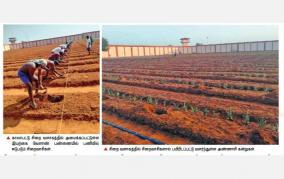 integrated-farm-cultivation-with-prison-premises-puducherry