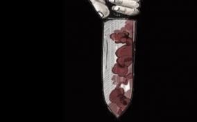 avadi-double-murder-case