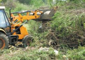 policy-decision-to-remove-sessile-oak-trees-soon-government-of-tamil-nadu-in-the-high-court