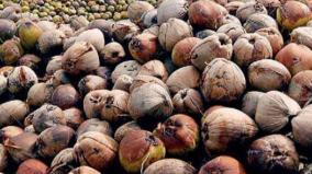 tn-budget-2022-coconut-farmers-disappointed