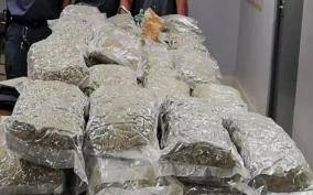 215-kg-of-cannabis-seized